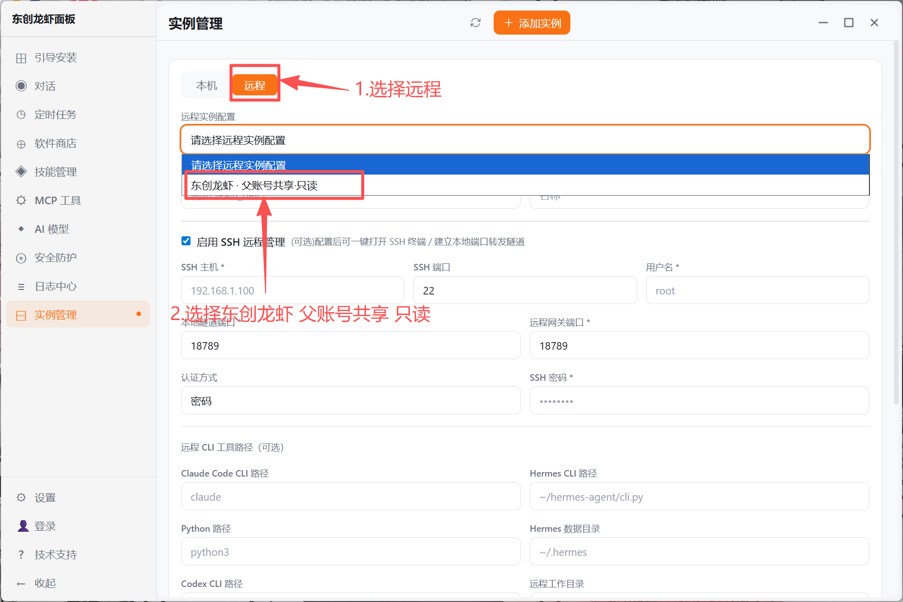 选择远程实例配置并填写 SSH 信息