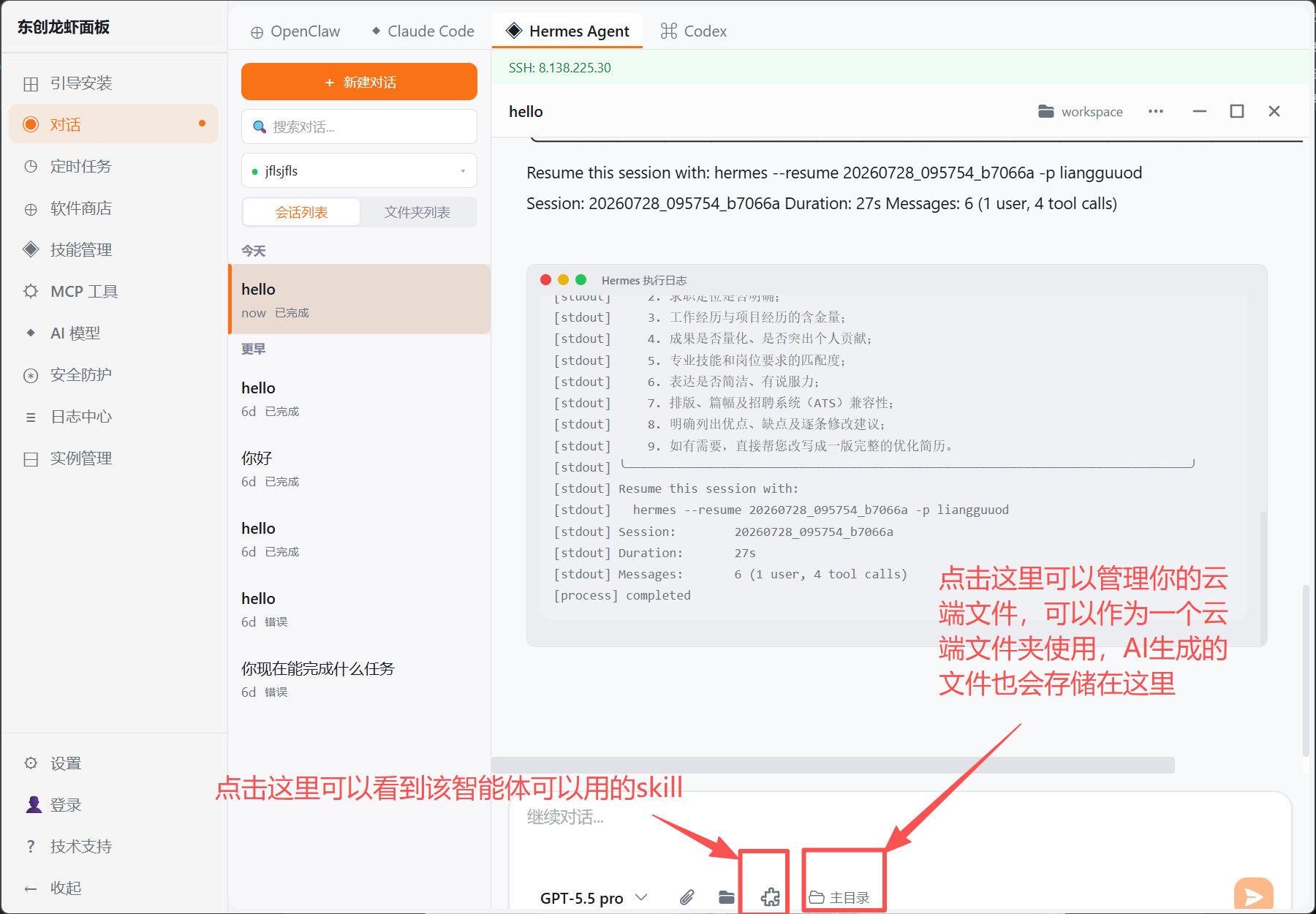在输入区选择 Skill 并查看任务文件